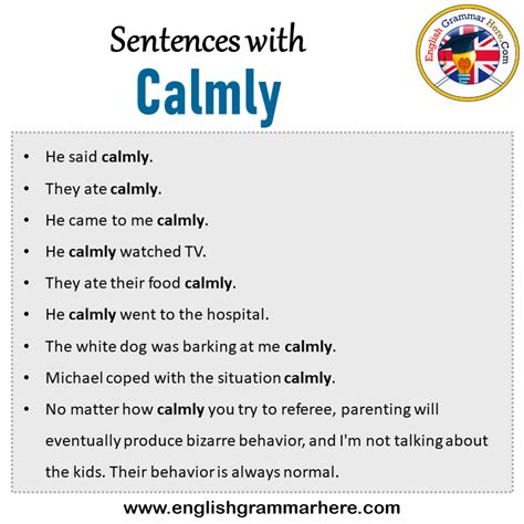 Sentences with Calmly, Calmly in a Sentence in English, Sentences For ...