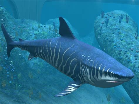 Image - Megalodon-30.jpg | Jurassic Park wiki | FANDOM powered by Wikia