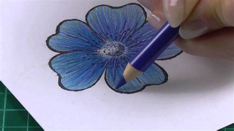 Flower Drawing Easy With Color | how after corona end