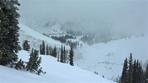 Alta, Snowbasin, Solitude, Snowbird, UT: Alta 2/5 - 2/11/2012 ...