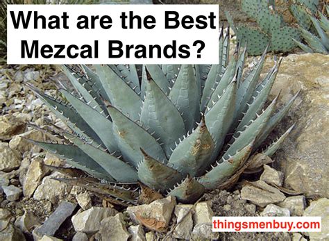 What are the Best Mezcal Brands? - ThingsMenBuy.com