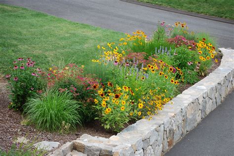 border garden- mostly perennials | Small garden borders, Garden design, Garden borders