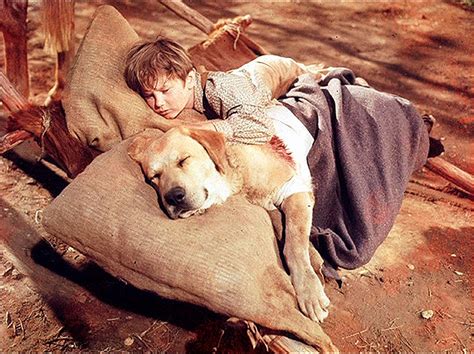 Kevin Corcoran as Arliss Coates in Old Yeller - Old Yeller Photo ...