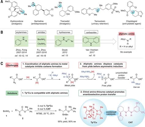 Using a two-step approach to convert aliphatic amines into unnatural amino acids