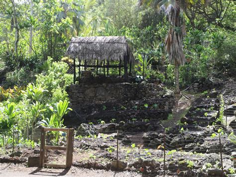 Nature and You - Waimea Waterfall Hike and Swim - Hawaii Discount