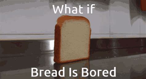 Bored Bread Falling GIF | GIFDB.com