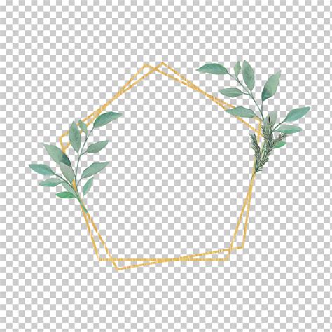 Leaf Twig Plant Structure Structure High-definition Video PNG, Clipart, Biology, Highdefinition ...