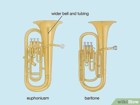 What Is The Difference Between A Tuba And A Euphonium?, 47% OFF