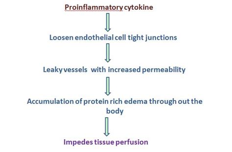 Septic shock pathogenesis, stages of shock and morphology of organs ...