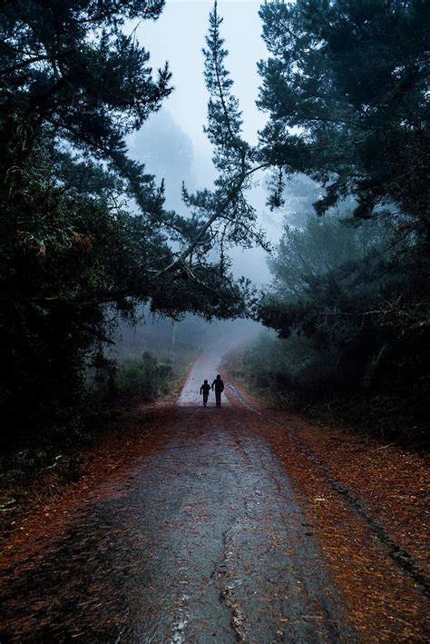 Silhouettes Of Two People Walking Away Down Forest Path Photograph by Cavan Images - Pixels