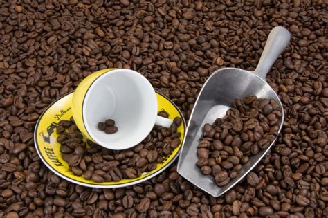 stainless steel coffee shovel, yellow ceramic teacup, saucer and coffee bean lot free image | Peakpx