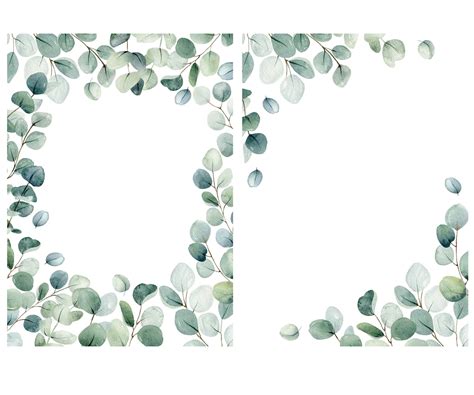 Leaf Frame With Eucalyptus Leaves Wedding Eucalyptus - vrogue.co