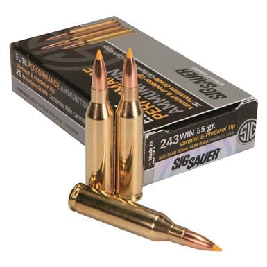 .243 Winchester Rifle Ammo | .243 Caliber Ammunition | .243 Ammo | Sportsman's Guide