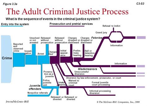 The U.S. Criminal Justice System