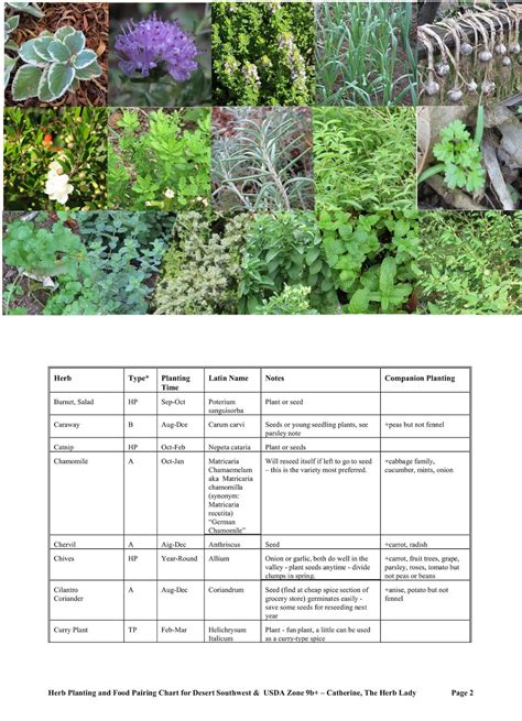 Herbs To Plant Together Chart