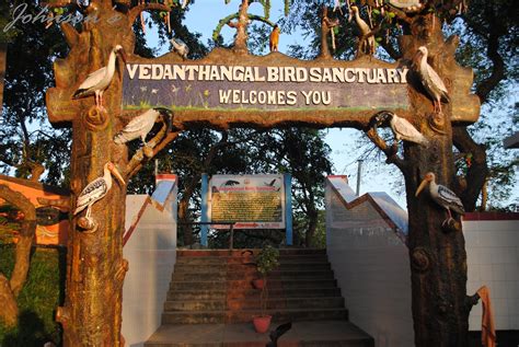 Johnson's: Vedanthangal Bird Sanctuary