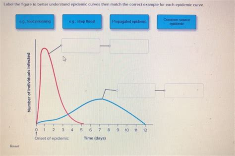 Solved Label the figure to better understand epidemic curves | Chegg.com