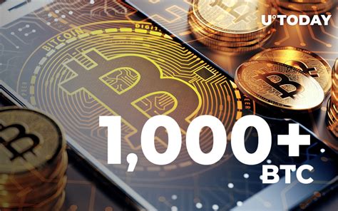 Number of Bitcoin Wallets with 1,000+ BTC Hits 9-Month High: Glassnode