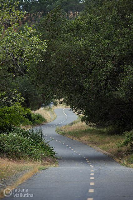 American River Bike Trail (Jedediah Smith Memorial Trail) Photos | TrailLink