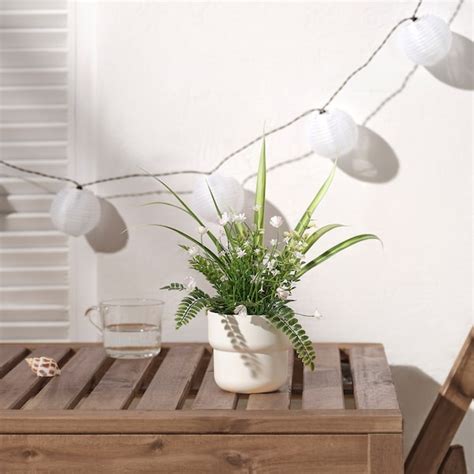 FEJKA artificial potted plant, indoor/outdoor/arrangement, 3 ½" - IKEA