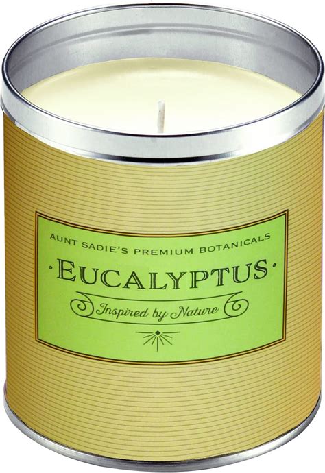 Amazon.com: Aunt Sadies Candles APO002 Apothecary, Eucalyptus, 12.5 ...