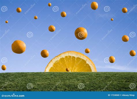 Orange rain stock photo. Image of juicy, delicious, rain - 1724060