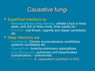 Antifungals - drdhriti | PPT