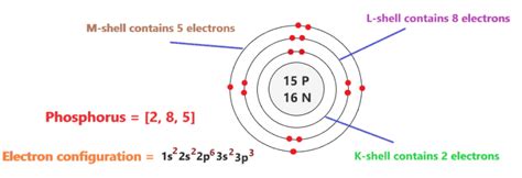 Phosphorus Bohr Model - How to draw Bohr diagram for Phosphorus (P)