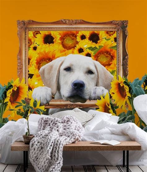 Golden Retriever Sunflower Wallpaper | Sunflower wallpaper, Painting, Golden retriever