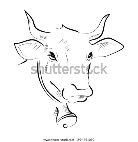 Outline Drawing Bull Hand Vector Illustration Stock Vector (Royalty ...