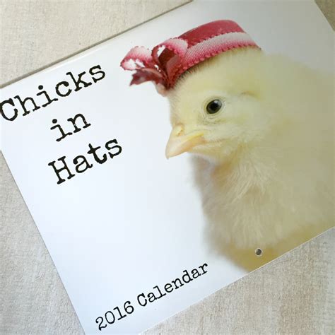 Jeri’s Organizing & Decluttering News: 2016 Calendars with Chicks, Cats and Birds