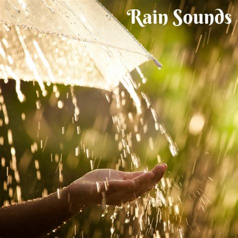 Stream Soothing Relaxation | Listen to Relaxing Music with Rain Sounds playlist online for free ...