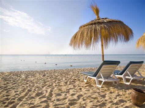 Tropical umbrellas stock photo. Image of relax, seaside - 10833696