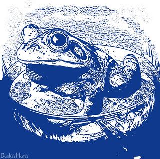 Boiling Frog | Stamp Blue This study is best viewed as a sli… | Flickr