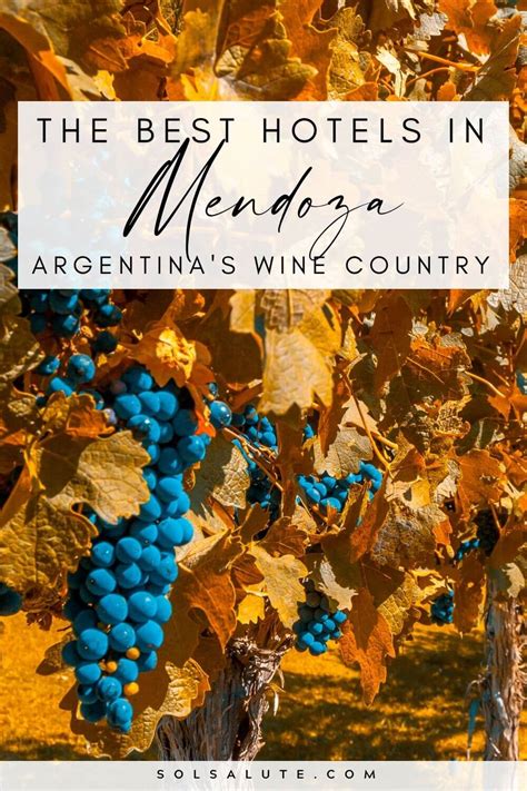 Where to Stay in Mendoza: City Luxury to Wine Resorts