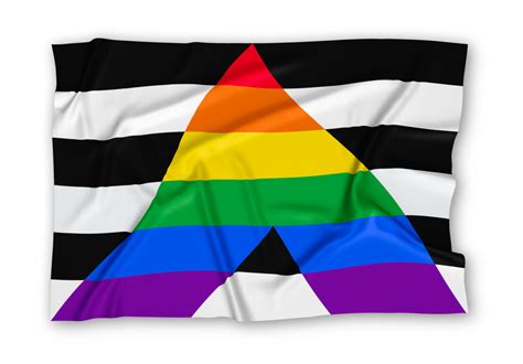 Realistic Straight Ally Flag 9655816 PNG