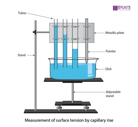 Surface Tension Drawing