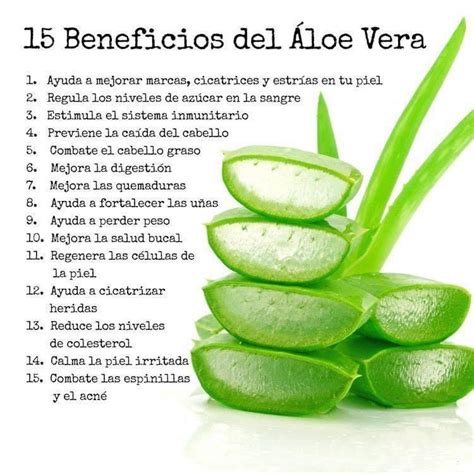 Aloe Vera Acne, Aloe Vera Skin Care, Aloe Vera Hair Growth, Aloe Vera ...