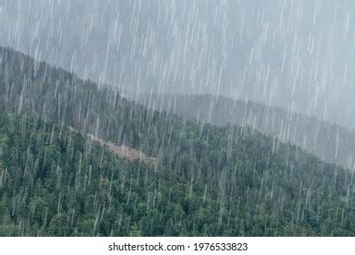 Heavy Rain Photos and Images | Shutterstock