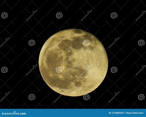 Full Moon in April Springtime with Green Tint Stock Image - Image of ...