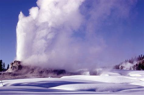 Few people travel to Yellowstone National Park in winter. To experience the park in that season ...