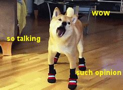 Dog So Talking GIF - Find & Share on GIPHY