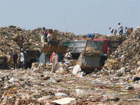 Polusi Tanah | BIOLOGIPEDIA