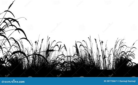 Grass Silhouette Background Stock Vector - Illustration of field, background: 28772667