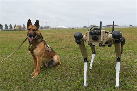 Impresionantes perros robot militares y con misiones espaciales - La Voz de Tarija