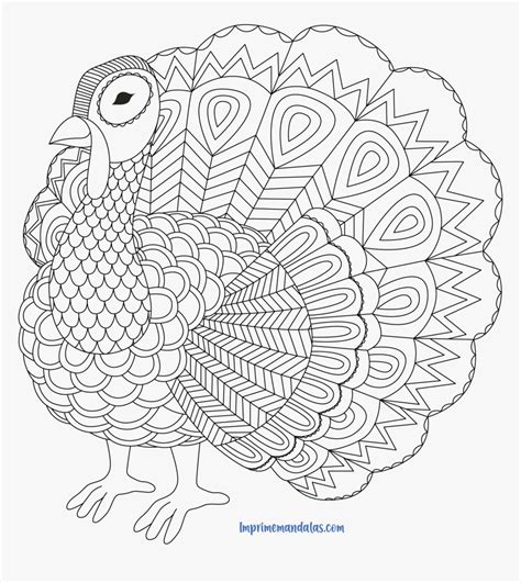 Mandala De Animales Pdf - Adult Turkey Coloring Pages, HD Png Download ...