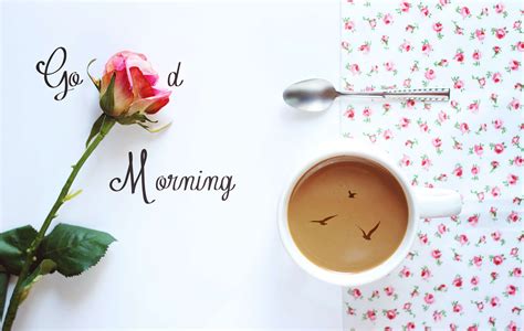 HD Good Morning Wallpapers Free Download