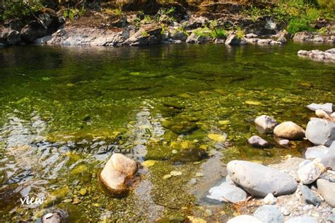 Sooke Potholes: A Famous Vancouver Island Attraction