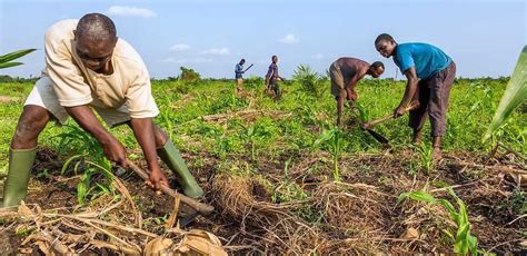 Benin: remarkable economic performances and encouraging outlook - UMOA ...