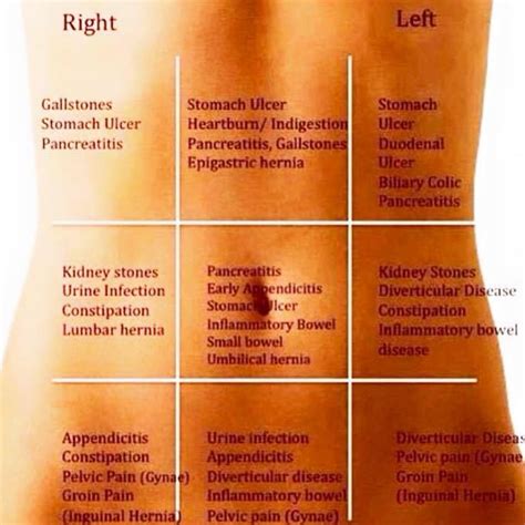 List 105+ Background Images Where Do You Feel Liver Pain Diagram Superb